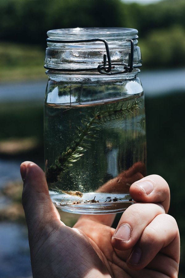 Pourquoi une formation en techniques de soufflage de verre est-elle recherchée dans l'artisanat d'art?